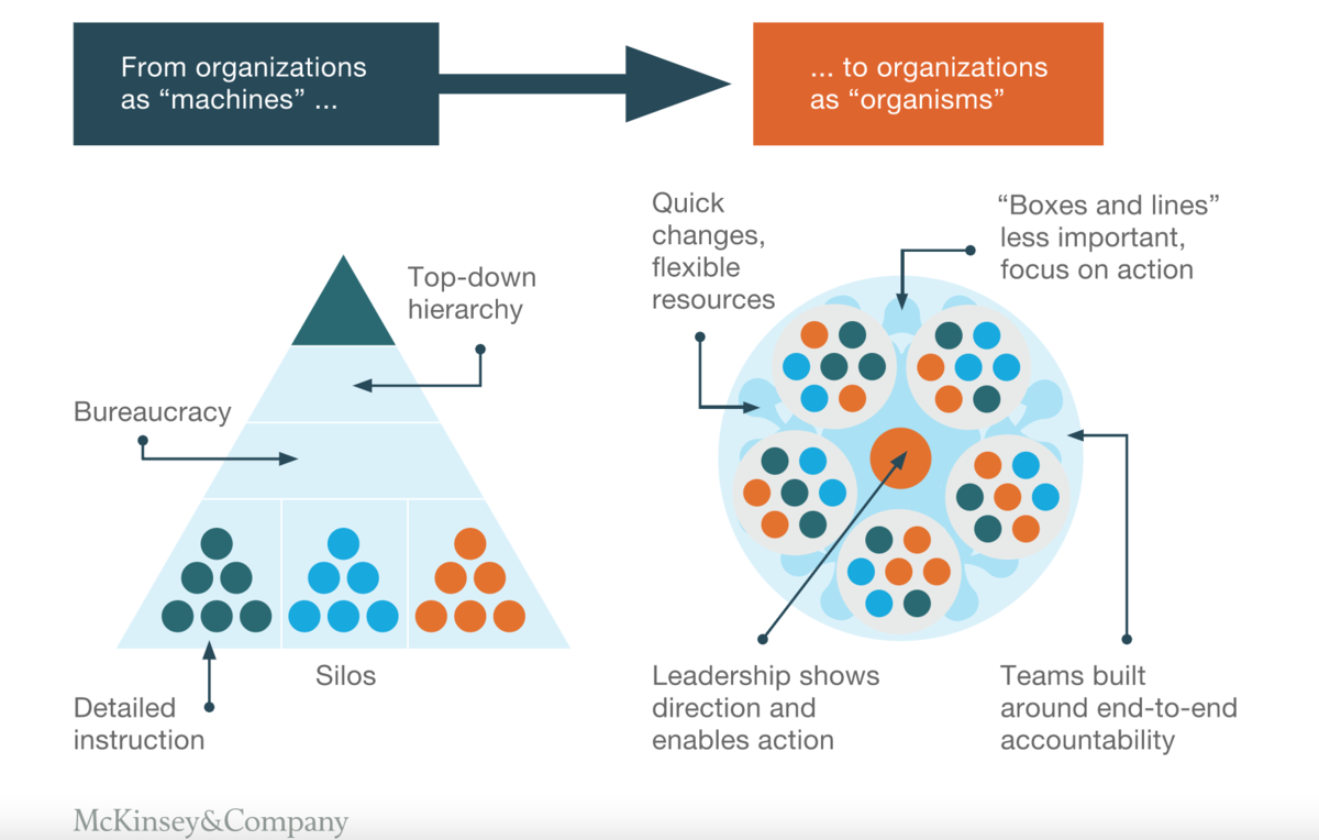 Comparision between triangle and circle management model. Source: McKinsey&Company
