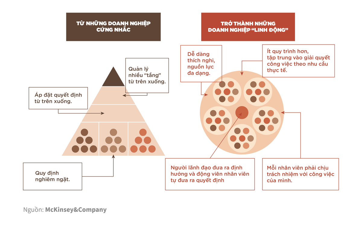 Comparision between triangle and circle management model. Source: McKinsey&Company